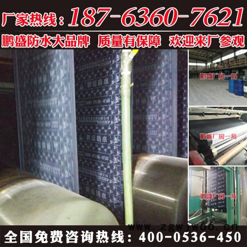 临武县耐根穿刺防水材料厂家批发图2