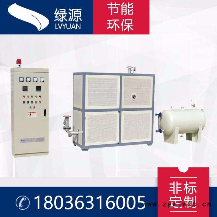 绿源LYD 导热油电加热器电加热导热油炉新型环保电加热器山东地区防水材料专用电加热器图5
