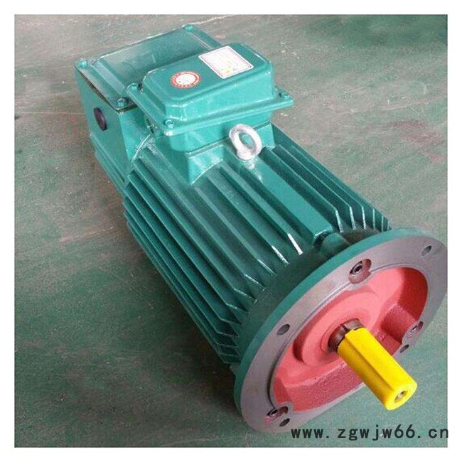 佳木斯起重电机调速电动机_直流电机_变频电机-防爆电机-YZR系列电机-起重机运行电机-电动葫芦起升电机-锥形电机图5
