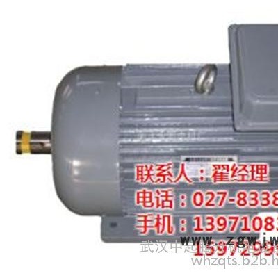 中起腾升(图)|zdy起重电机|宜昌起重电机