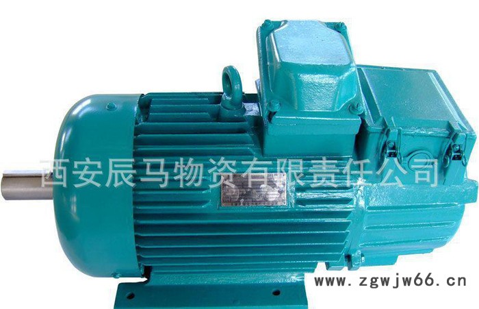 JZR，YZR，YZ系列冶金起重电机 电动机 三相电动机图2