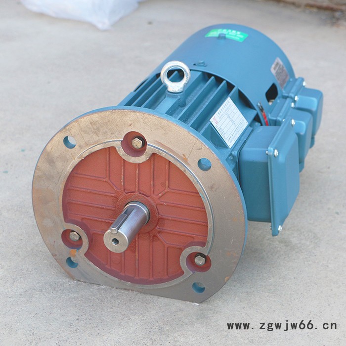 千业牌 长期堵转力矩电机 YX3132-6 YX3132-8厂家供应各种型号图8