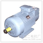 供应大连第二电机厂YZR绕线转子冶金起重电机