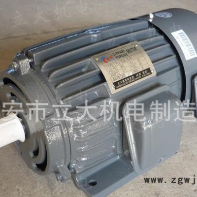 YLJ100L-6-6、力矩调速电机、力矩电机60公斤6极