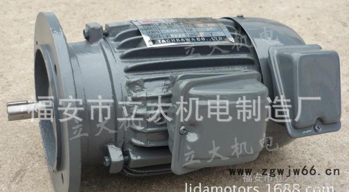 YLJ100L-6-6、力矩调速电机、力矩电机60公斤6极图2