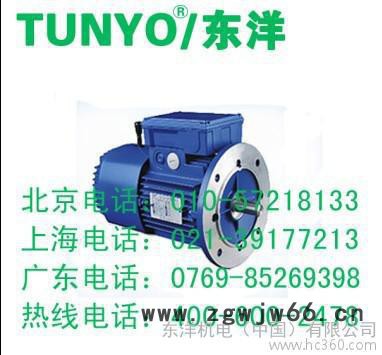 供应tunyo东洋DM3W力矩电机图2