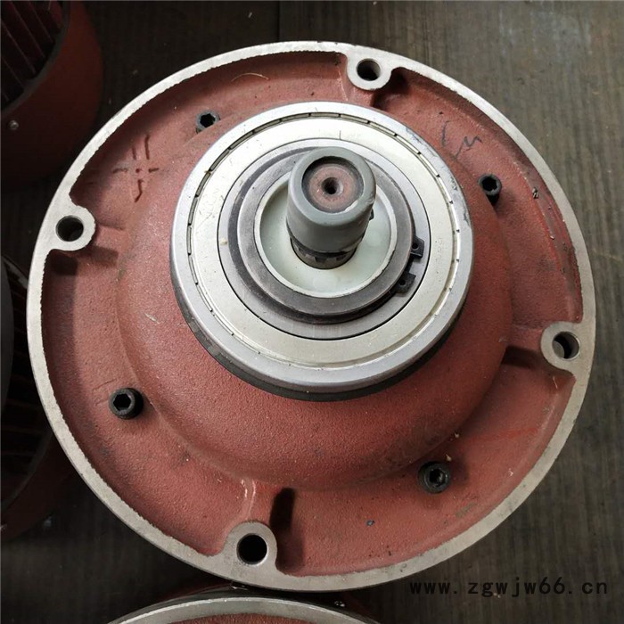 泰力 直销0.4千瓦电机_振动电机_微型电机_卧式马达电机图5