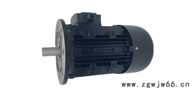 森力YLJ90-4 力矩电机产品详情力矩马达厂家图2