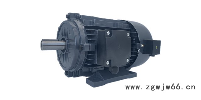 森力YLJ90-4 力矩电机产品详情力矩马达厂家图5