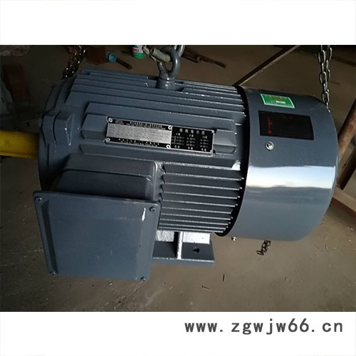 恒义HY【恒义YZRDW长航电机、涡流/力矩电机 江特电机、恒义塔吊主起升电机 、恒义塔吊电机 】图3