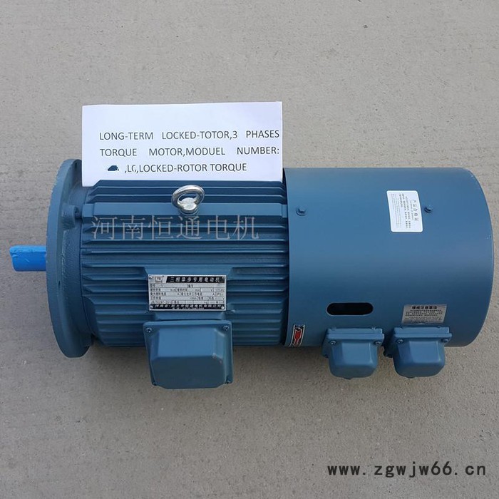 千业Y132-6E长期堵转力矩电机Long-Term Locked-Roto 3- phase torque motor图7