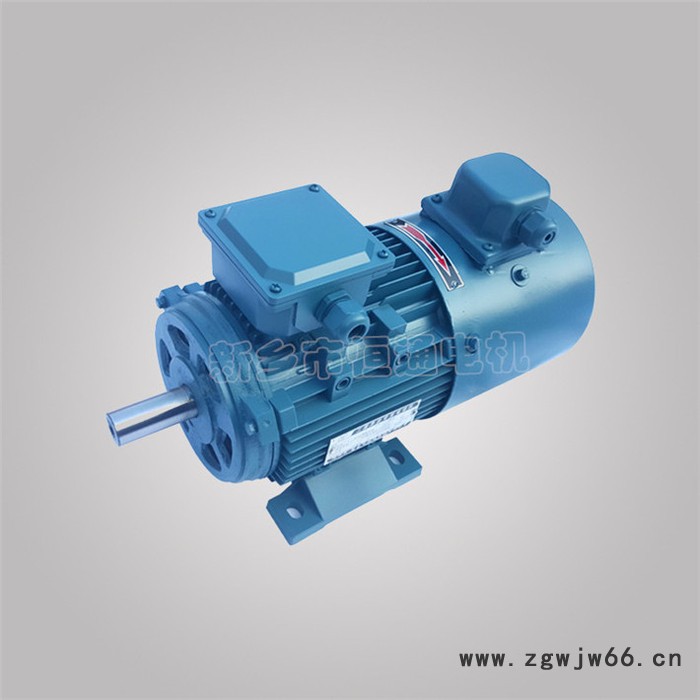 千业牌 YLEJ132S-6 力矩电机工厂 出口振动电机工厂 出口力矩电动机 质量可靠图4