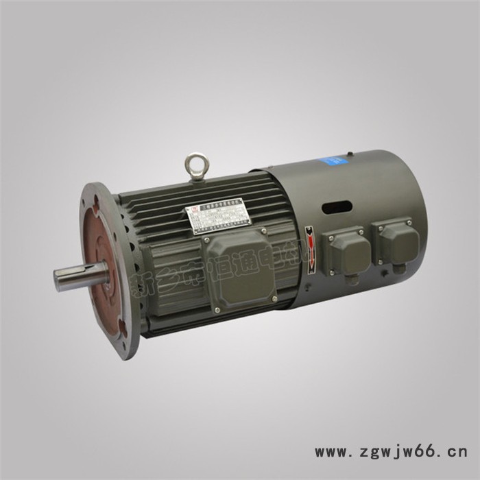 千业牌 YLEJ132S-6 力矩电机工厂 出口振动电机工厂 出口力矩电动机 质量可靠图3