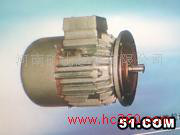 供应真牛YEZ/ZDYR/ZDY1起重电机图3