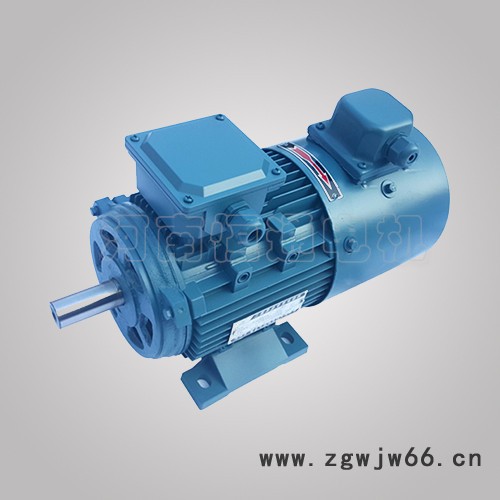 千业牌 南京力矩电机YLJ90-4/6 YLEJ112S-6 三相力矩电动机220V 质量稳定图3