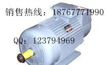 **YZ200L-6  22KW冶金起重电机   单轴电机图2