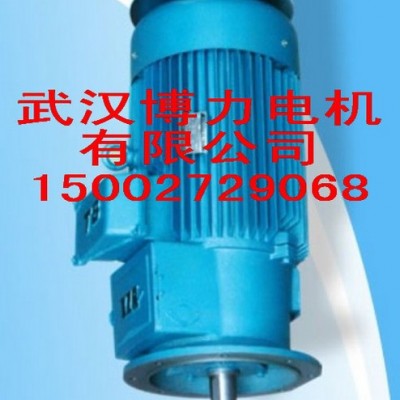 YZR225M-8-22KW起重电机供应