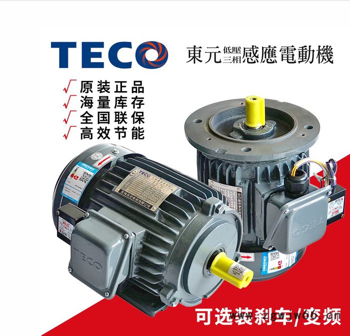 台湾东元三相异步电机 0.37KW刹车电机 TECO马达振动电机东元电机减速机图5