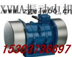 供应宏达TZD-11-2振动电机  XVM-A振动电机 YZDP ZGY振动电机图3