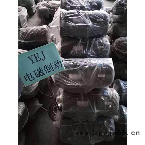 新乡豫特，辊道电机 YGp电机 钢厂用辊道电机图2