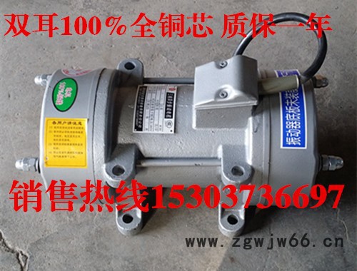 供应ZW-0.25混凝土振动器 平板振动马达ZF110-50  1.1KW ZW振动电机图6