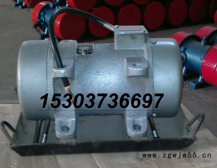 供应ZW-0.25混凝土振动器 平板振动马达ZF110-50  1.1KW ZW振动电机图3