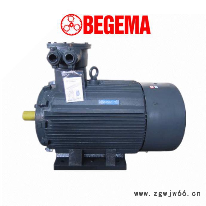 变频防爆电机，变频防爆马达，山东防爆电机，YB型隔爆防爆电机图3