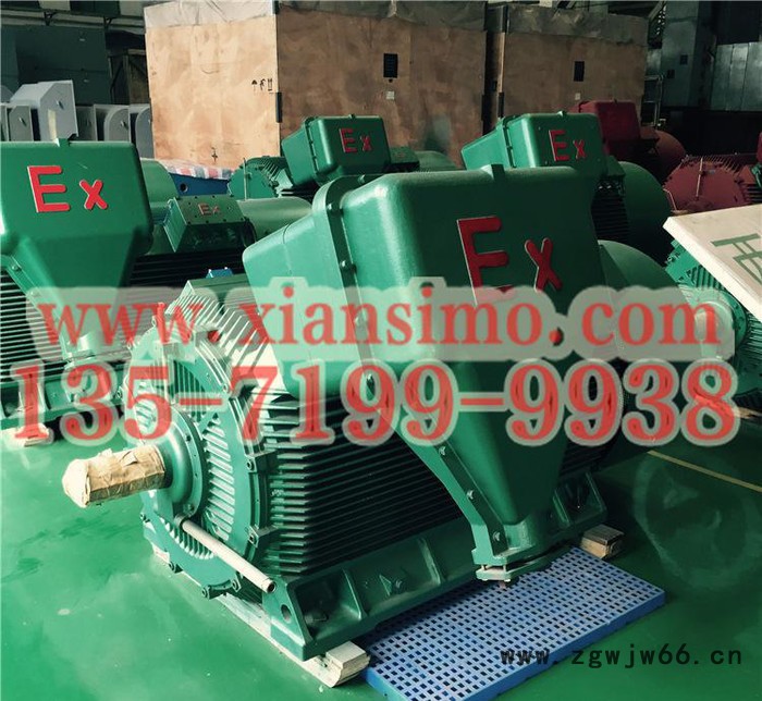 YB2-5002-4 900KW 6KV IP54 ExdⅡBT4 Gb隔爆型防爆电机图2