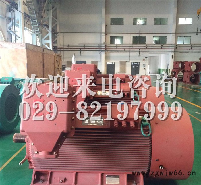YB2-5004-4 800KW 10KV IP54 ExdⅡBT4 Gb隔爆型防爆电机图2