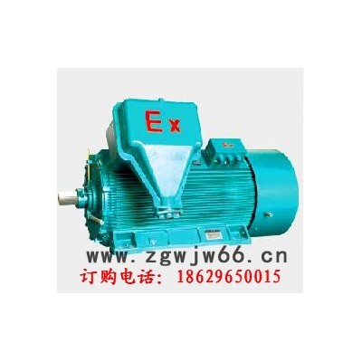 西安西玛IC411变频防爆电机YBE2-225M-2 45KW IP55 30-60Hz