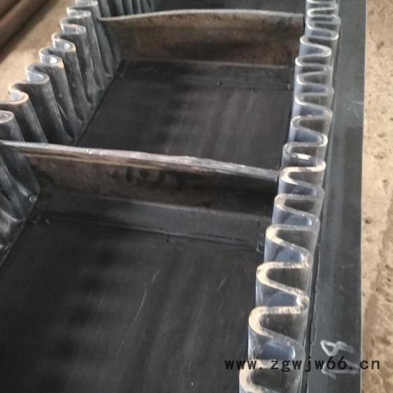 轻型挡边输送机防爆电机 港口专用图4