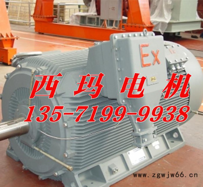 YB2-4501-4 500KW 6KV IP54 ExdⅡBT4 Gb隔爆型防爆电机图3