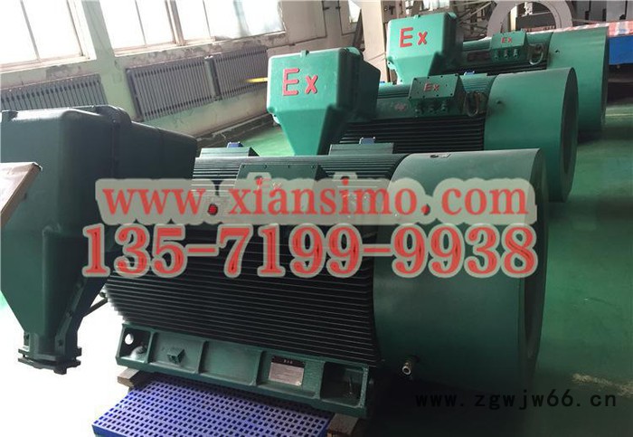YB2-5003-4 710KW 10KV IP54 ExdⅡBT4 Gb隔爆型防爆电机图2