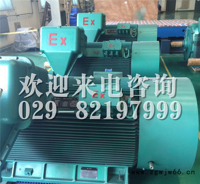 YB2-5003-4 710KW 10KV IP54 ExdⅡBT4 Gb隔爆型防爆电机图3