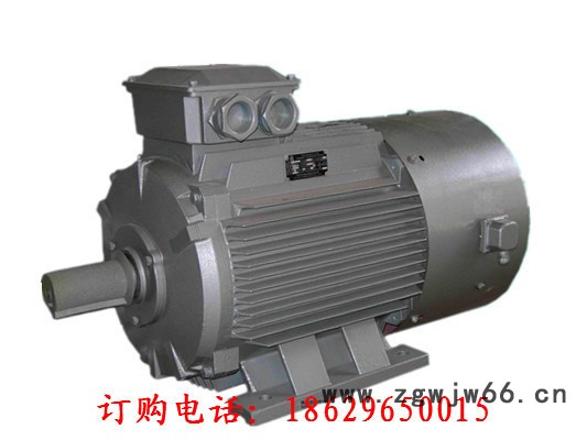 西玛高效变频防爆电机直销IC416YBE2-355L-4 315KW IP55 3-100Hz图2