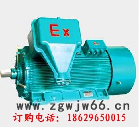 西玛高效变频防爆电机直销IC416YBE2-355L-4 315KW IP55 3-100Hz图3