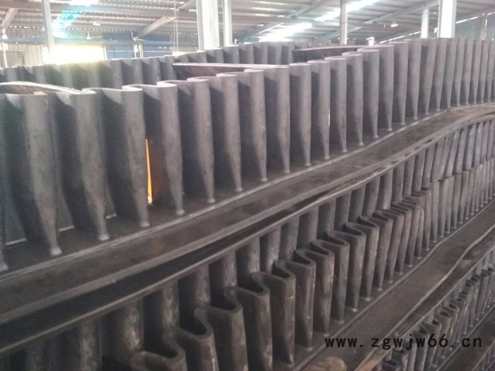 防爆电机手摇升降胶带机 固定式挡边输送机xy1图4