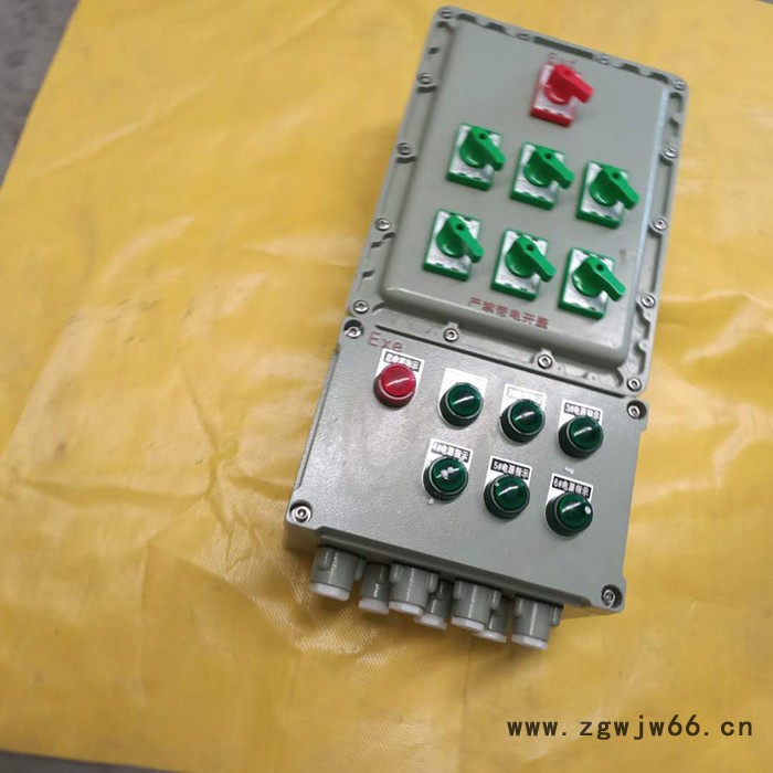 双日 供应 工业配电箱 不锈钢防爆控制箱 防爆电机控制箱图8