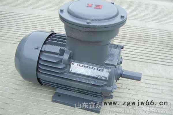 防爆电机厂家直供   防爆电机专业设计  防爆电机质量保证图3