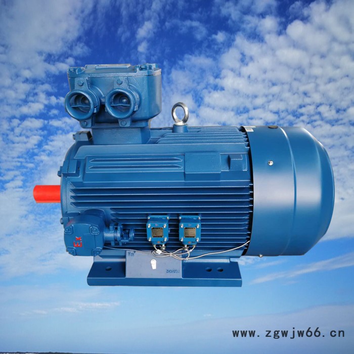 温控防爆电机山东生产厂家图8