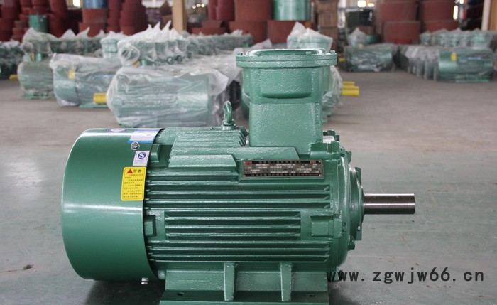 防爆电机YBX3防爆电机80M2-4-0.75KW南洋防爆电机工厂BT4防爆电机图3