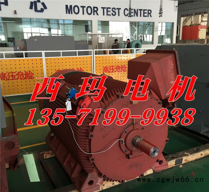 YB2-4502-6 400KW 6KV IP54 ExdⅡBT4 Gb隔爆型防爆电机图3