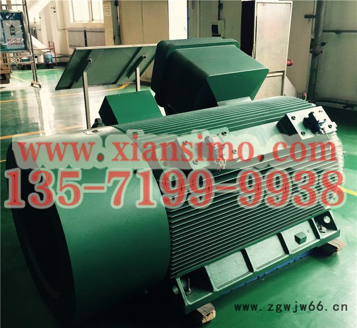 YB2-4501-2 355KW 10KV IP54 ExdⅡBT4 Gb隔爆型防爆电机图2