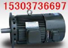 供应宏达YBZH112-2.5-2 0.25KW 防爆振动电机 商丘安阳防爆电机图4