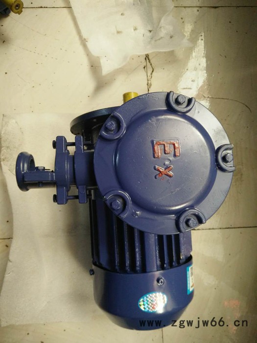 立式防爆电机  立式的防爆电机，B5安装方式，