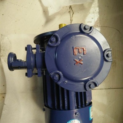 立式防爆电机  立式的防爆电机，B5安装方式，