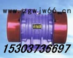 供应宏达XVMA-180-6通用型特殊电机   XV-50-6振动电机 振动平台 XVMA160-6图2