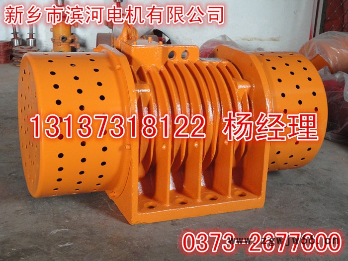 供应滨河振动电机