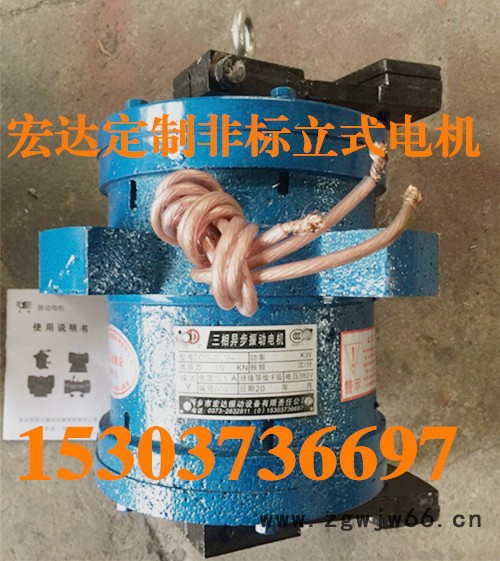 宏达 立式电机 YZUL-3-4 0.18KW 立式振动电机图2