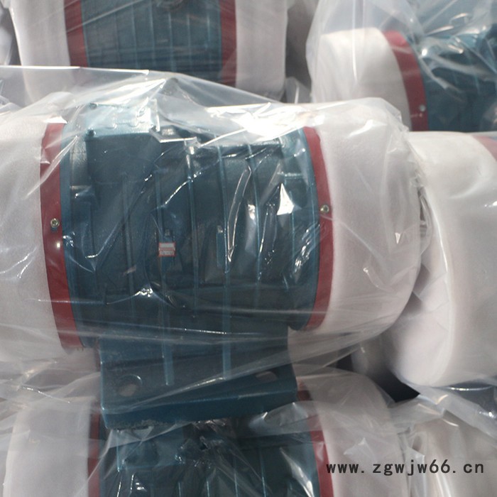 聚丰 振动电机 定转子图2